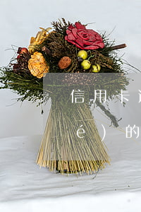 信用卡逾期被凍了怎么開通(逾期凍結(jié)的信用卡怎么解凍)