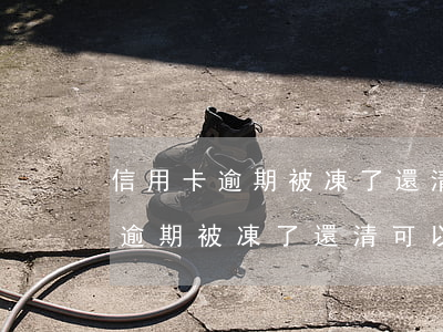 信用卡逾期被凍了還清可以解凍嗎-信用卡逾期被凍了還清可以解凍嗎