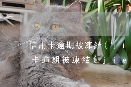 信用卡逾期被凍結(jié)不能分期(信用卡逾期被凍結(jié)不能分期)