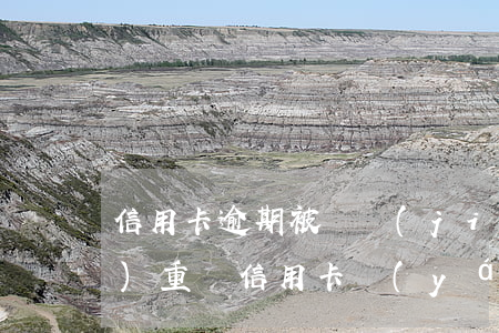 信用卡逾期被凍結(jié)了嚴(yán)重嗎(信用卡嚴(yán)重逾期會凍結(jié)所有銀行卡嗎)