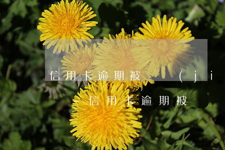 信用卡逾期被凍結(jié)了征信還更新嗎-信用卡逾期被凍結(jié)了征信還更新嗎怎么辦
