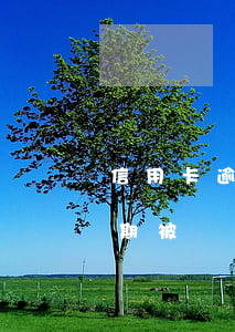 信用卡逾期被凍結(jié)了怎么取款(逾期被凍結(jié)銀行卡怎么辦)