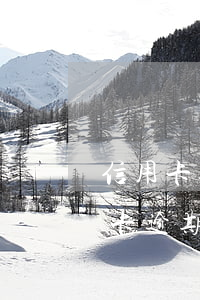 信用卡逾期被凍結(jié)了怎么解(信用卡逾期被凍結(jié)了怎么解)