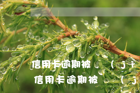 信用卡逾期被凍結(jié)了怎么還款-信用卡逾期被凍結(jié)了怎么還款