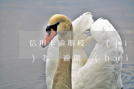信用卡逾期被凍結(jié)了會(huì)怎樣 逾期會(huì)凍結(jié)信用卡嗎