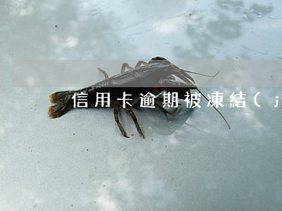 信用卡逾期被凍結(jié)了能解凍嗎