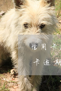 信用卡逾期被凍結(jié)信用記錄(信用卡逾期被凍結(jié)信用記錄)