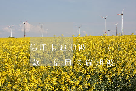 信用卡逾期被凍結(jié)儲蓄卡自動扣款-信用卡逾期被凍結(jié)儲蓄卡自動扣款怎么辦