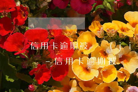 信用卡逾期被凍結(jié)其他的卡怎么辦-信用卡逾期被凍結(jié)其他的卡怎么辦理