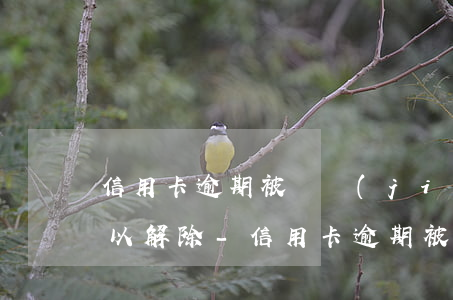 信用卡逾期被凍結(jié)后什么時候可以解除-信用卡逾期被凍結(jié)后什么時候可以解除凍結(jié)