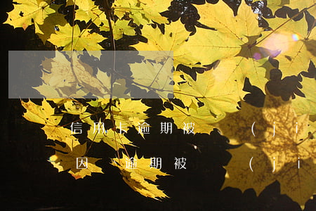 信用卡逾期被凍結(jié)后還了(信用卡因為逾期被凍結(jié)了怎么辦)