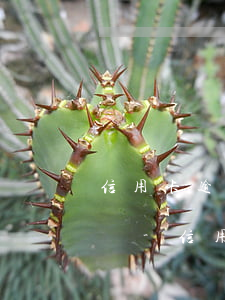 信用卡逾期被凍結(jié)多久能消除記錄-信用卡逾期被凍結(jié)多久能消除記錄啊
