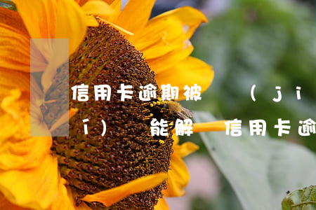 信用卡逾期被凍結(jié)多長時(shí)間能解凍(信用卡逾期被凍結(jié)多長時(shí)間能解凍)