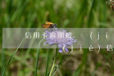 信用卡逾期被凍結(jié)影響征信 征信問題凍結(jié)信用卡