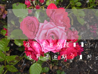 信用卡逾期被凍結(jié)怎么申請解凍(信用卡逾期了銀行卡會(huì)凍結(jié)嗎)