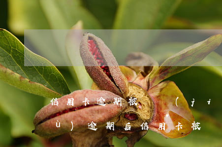 信用卡逾期被凍結(jié)怎樣恢復(fù)(逾期后信用卡被凍結(jié)如何解開?)