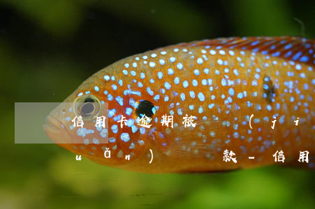 信用卡逾期被凍結(jié)怎樣轉(zhuǎn)賬還款-信用卡逾期被凍結(jié)怎樣轉(zhuǎn)賬還款呢