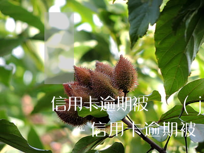 信用卡逾期被凍結(jié)所有賬戶怎么辦-信用卡逾期被凍結(jié)所有賬戶怎么辦理