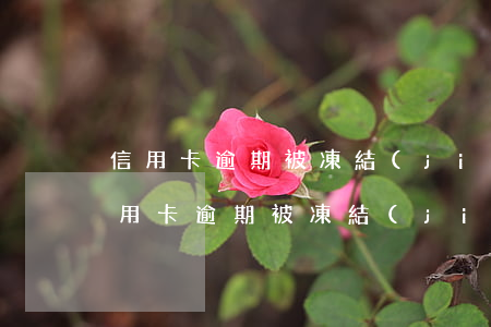 信用卡逾期被凍結(jié)所有銀行卡(信用卡逾期被凍結(jié)所有銀行卡可以用嗎)