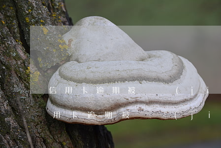 信用卡逾期被凍結(jié)是什么意思(信用卡逾期被凍結(jié)是什么意思啊)