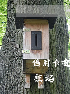信用卡逾期被凍結(jié)是起訴了(逾期被起訴凍結(jié)銀行卡)