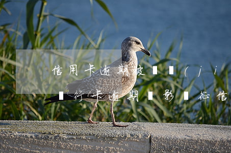 信用卡逾期被凍結(jié)會影響征信嗎(銀行卡逾期會影響征信嗎)