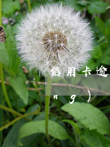 信用卡逾期被凍結(jié)款已經(jīng)還清(銀行貸款逾期后信用卡凍結(jié)了怎么辦)