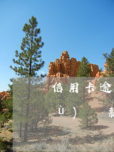 信用卡逾期被凍結(jié)無法繼續(xù)還款(為什么信用卡凍結(jié)了還不了款)