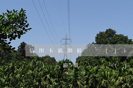 信用卡逾期被凍結(jié)能坐飛機(jī)嗎 逾期會凍結(jié)信用卡嗎