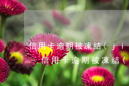 信用卡逾期被凍結(jié)能最低還款嗎-信用卡逾期被凍結(jié)能最低還款嗎