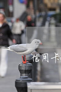 信用卡逾期被凍結(jié)記錄
