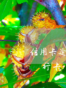 信用卡逾期被凍結(jié)過(guò) 銀行卡凍結(jié)導(dǎo)致信用卡逾期
