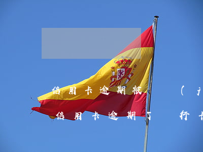 信用卡逾期被凍結(jié)還了怎么解凍(信用卡逾期了銀行卡會凍結(jié)嗎)
