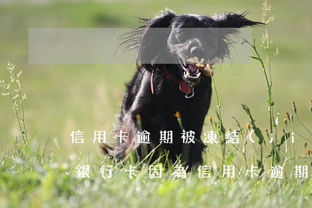 信用卡逾期被凍結(jié)還可以辦嗎-銀行卡因為信用卡逾期被凍結(jié)怎么辦