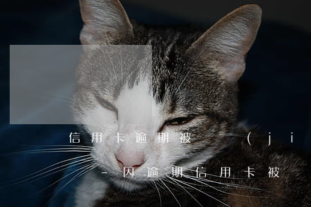 信用卡逾期被凍結(jié)還完后如何解凍-因逾期信用卡被凍結(jié)了還能解凍嗎