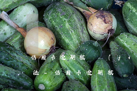 信用卡逾期被凍結(jié)還款最正確方法-信用卡逾期被凍結(jié)還款最正確方法是什么