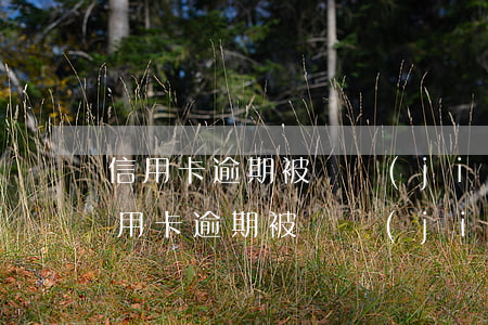 信用卡逾期被凍結(jié)還款被退回(信用卡逾期被凍結(jié)還款被退回)