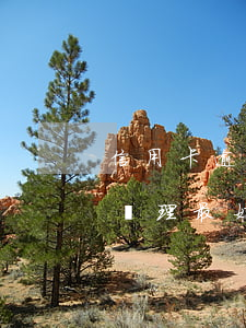 信用卡逾期被凍結(jié)還清后卡怎么處理最好-信用卡逾期被凍結(jié)還清后卡怎么處理最好呢