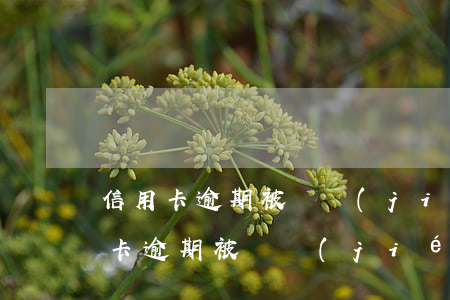信用卡逾期被凍結(jié)還能用么(信用卡逾期被凍結(jié)還能用么)