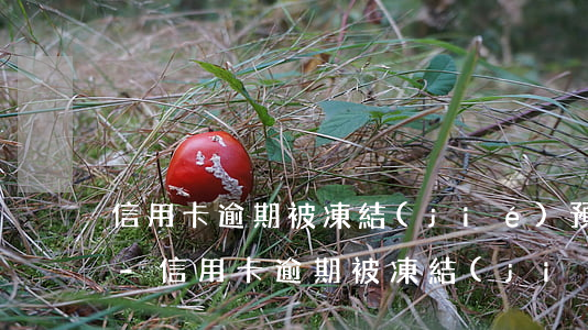 信用卡逾期被凍結(jié)預(yù)警-信用卡逾期被凍結(jié)預(yù)警信息