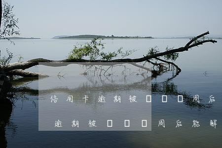 信用卡逾期被凍結兩周后能解凍嗎-信用卡逾期被凍結兩周后能解凍嗎