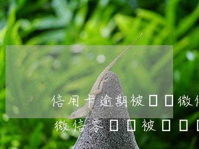 信用卡逾期被凍結微信支付(欠信用卡被起訴微信零錢會被凍結嗎)