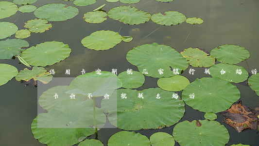 信用卡逾期被几家银行联合起诉(欠多家信用卡会不会被联名起诉)