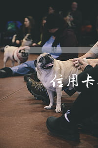 信用卡逾期被分行凍結