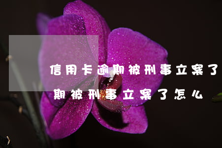 信用卡逾期被刑事立案了怎么處理 信用卡逾期被刑事立案了怎么處理流程