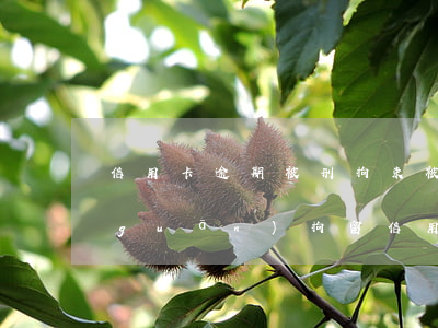 信用卡逾期被刑拘束(被公安機(jī)關(guān)拘留信用卡逾期)