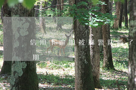 信用卡逾期被刑警队抓了(刑拘期间信用卡逾期)