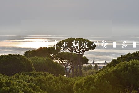 信用卡逾期被刑警隊召喚