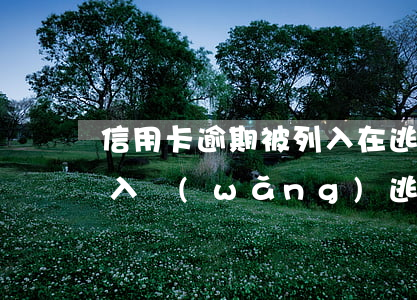 信用卡逾期被列入在逃人員(欠信用卡會被列入網(wǎng)逃嗎)