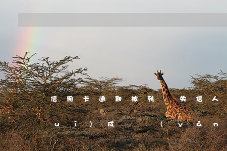 信用卡逾期被列為失信人員了(逾期就會(huì)成為嚴(yán)重失信人員)